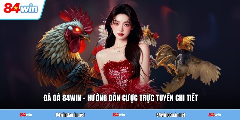 da-ga-84win-huong-dan-cuoc-truc-tuyen-chi-tiet