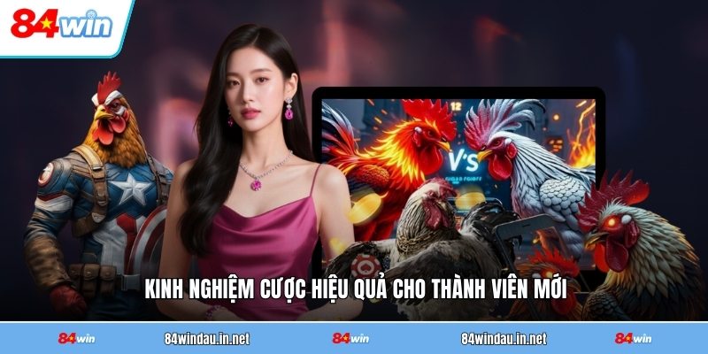 kinh-nghiem-cuoc-hieu-qua-cho-thanh-vien-moi