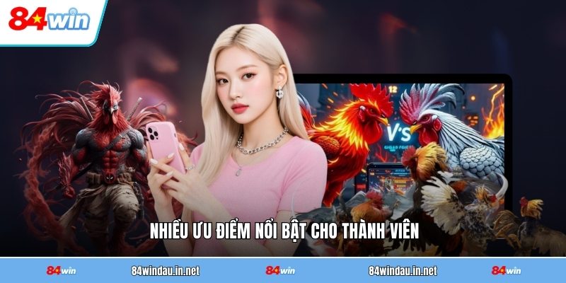 nhieu-uu-diem-noi-bat-cho-thanh-vien