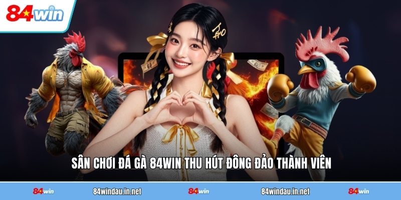 san-choi-da-ga-84win-thu-hut-dong-dao-thanh-vien