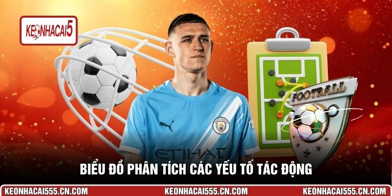 Biểu đồ phân tích các yếu tố tác động